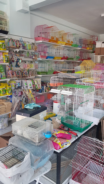 Tosun Petshop