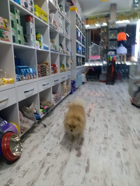 Trabzon Hobi petshop