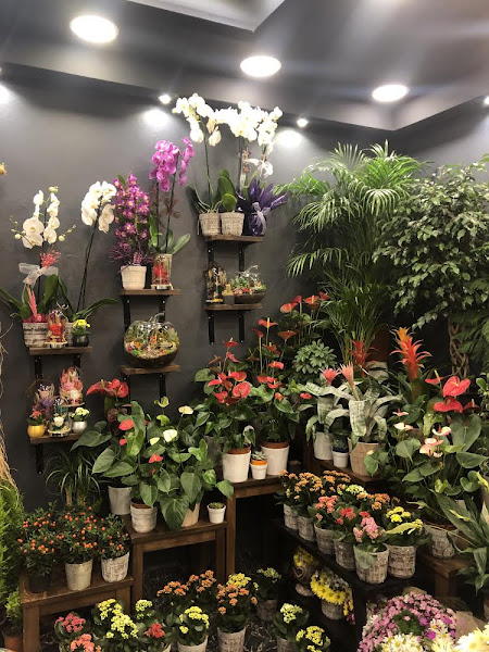 Trend Florist® - Ataşehir / İstanbul