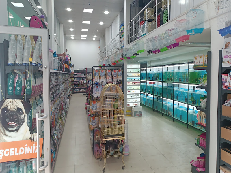 Trend Pet Market - Petshop