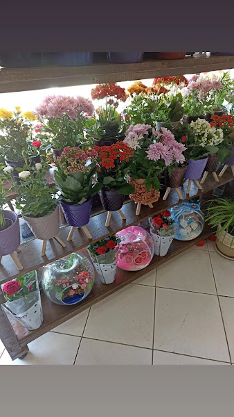 TUANA ÇİÇEKÇİLİK