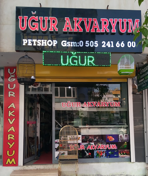 UĞUR AKVARYUM