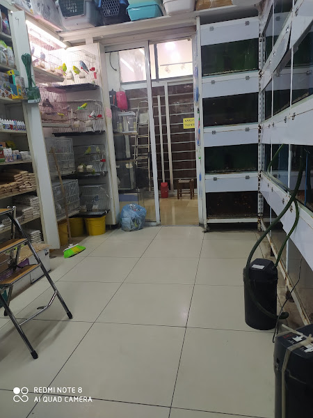 Uğur Akvaryum Ve Kuş Galerisi