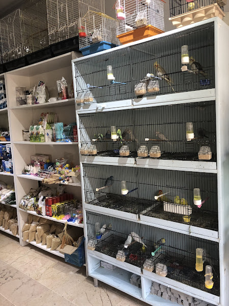 UĞURLU PETSHOP