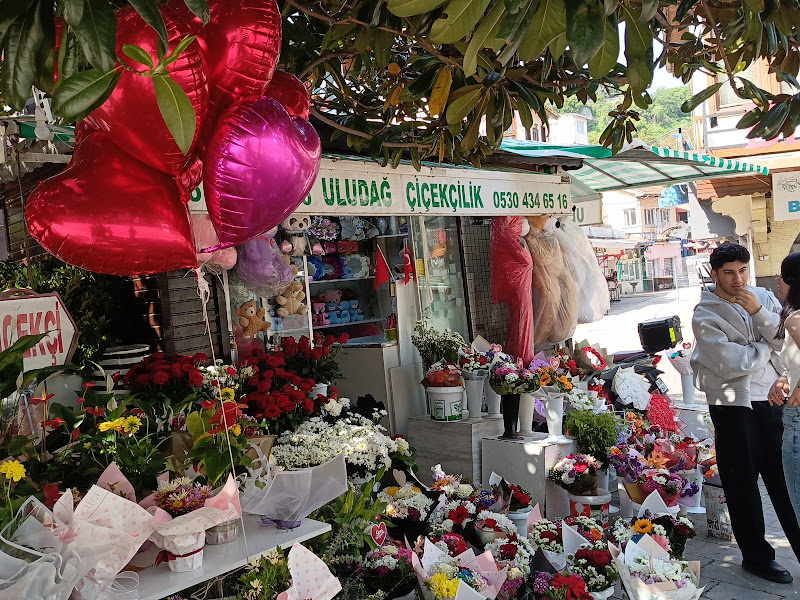 Uludağ Çiçekçilik 7/24