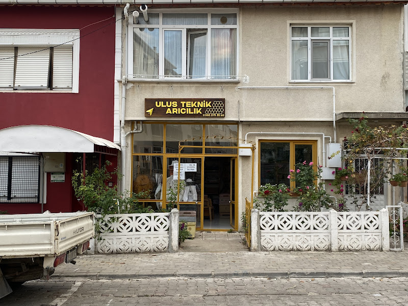 Ulus Teknik Arıcılık