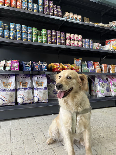 Umutcan Petshop