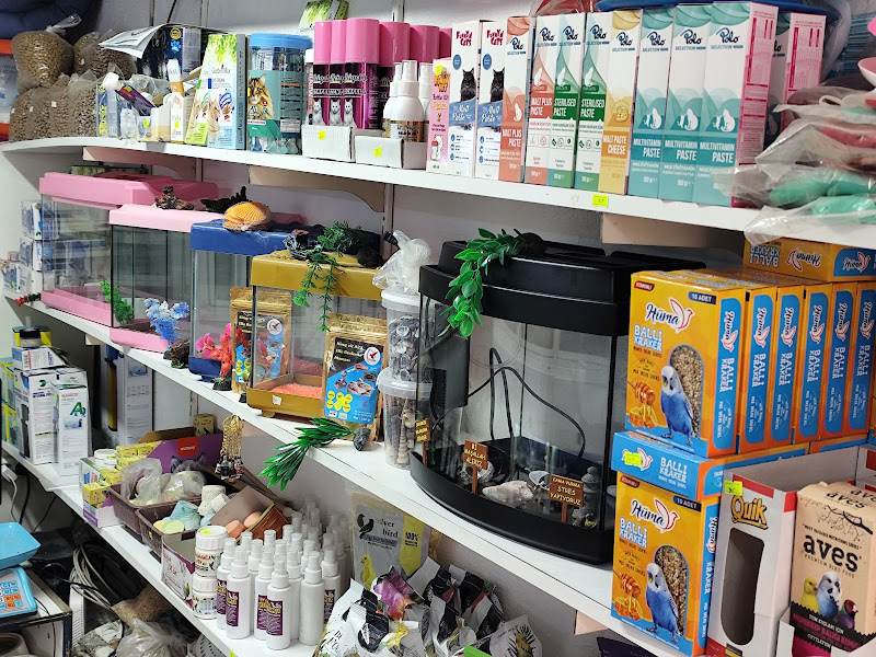 UmutPetShop