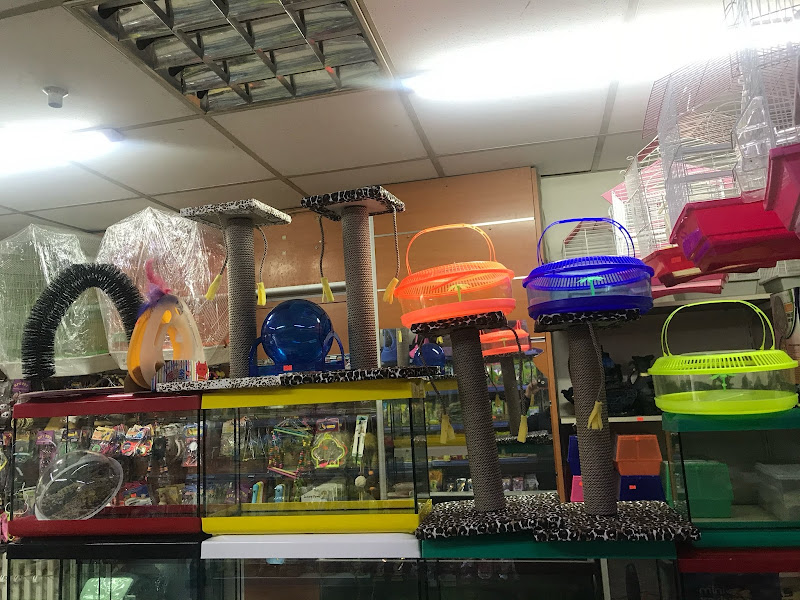 Uşak Casper Petshop