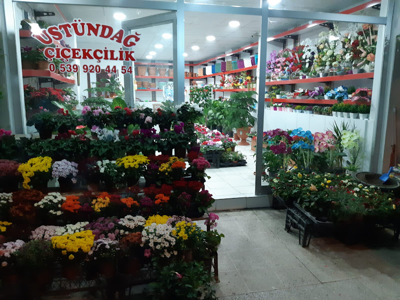 Üstündağ Çiçekçilik