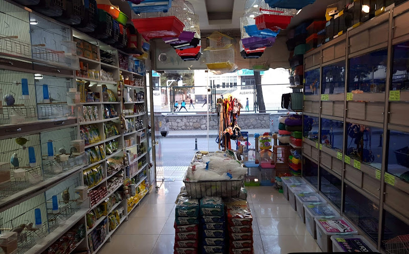 Utku Petshop hayvanlar alemi 19
