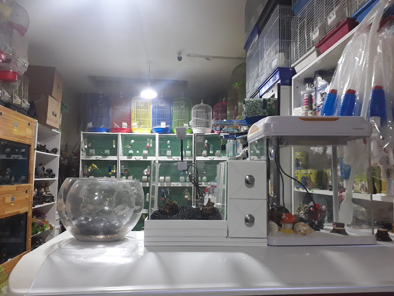 ÜZÜMOĞLU PETSHOP & AV BAYİİ KAHRAMANMARAŞ MERKEZ
