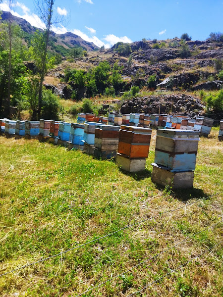 Uzungöl Bal Şarküteri