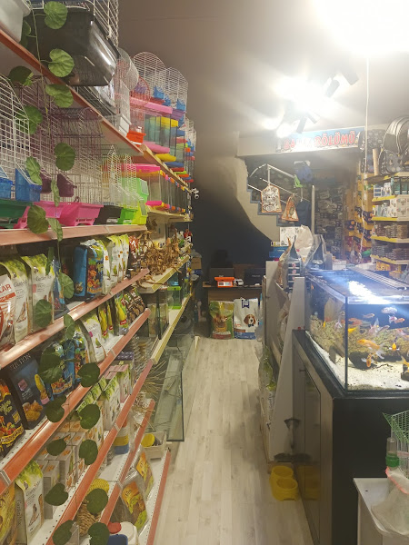 Van Amazon Petshop, Van Petshop