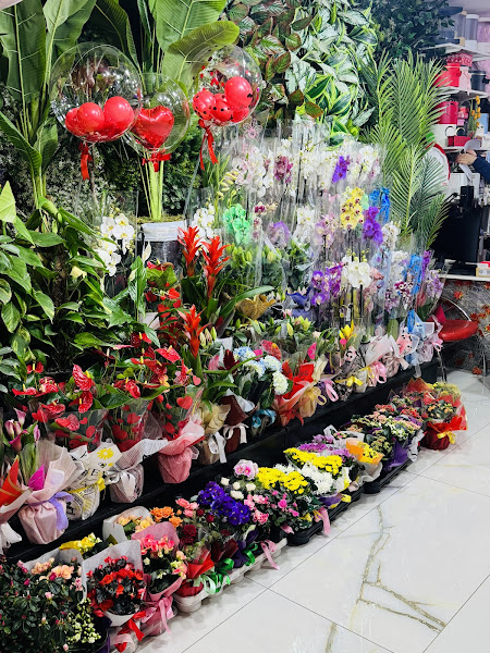 Van çiçek evi flowers