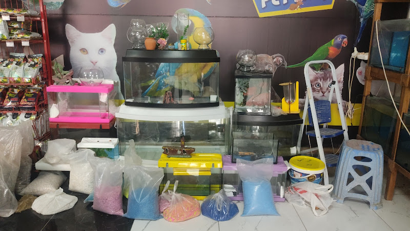 Van EFE PETSHOP