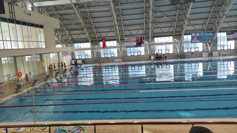 Van Olimpik Yüzme