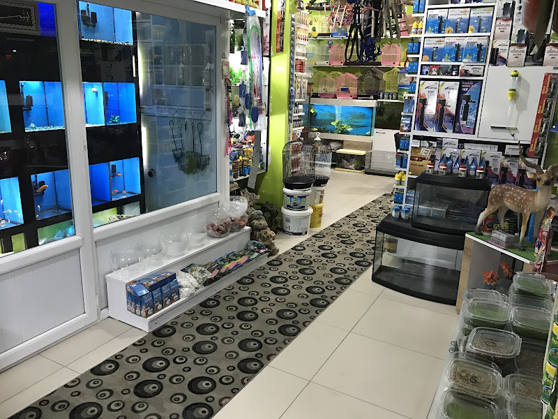 VAN PETSHOP MAVİ SU PETSHOP ve AKVARYUM