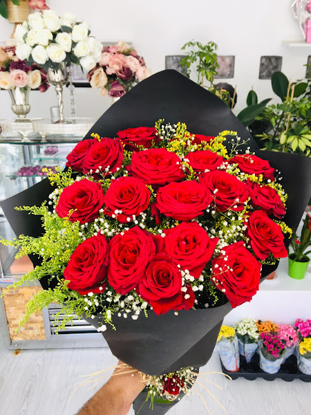 Vize Çiçek Dunyası