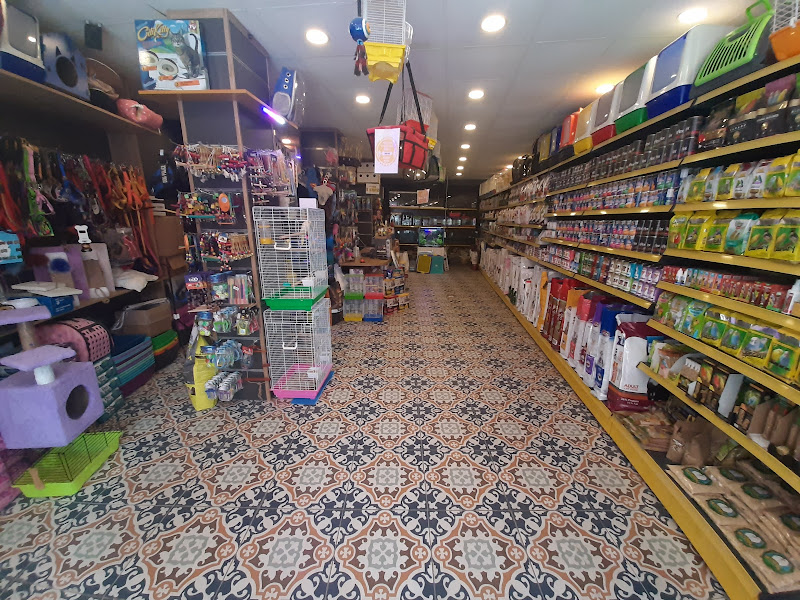 Woddy Pet Shop