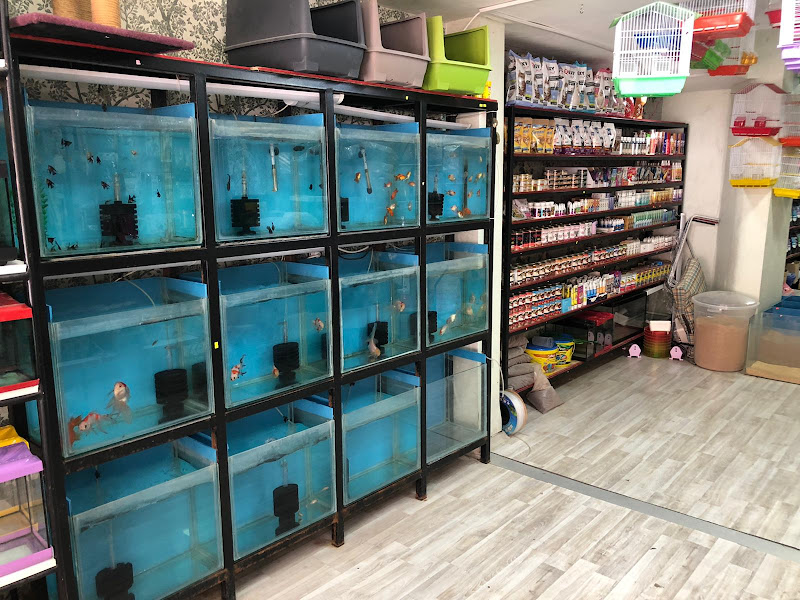 World Petshop