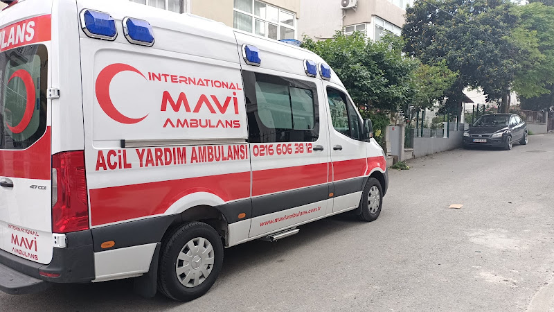 Yalova Sağlık Hizmetleri Başkanlığı