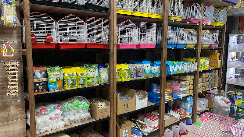 Yalova Şura Petshop