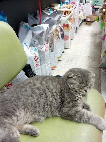 Yay Pet Shop Niğde