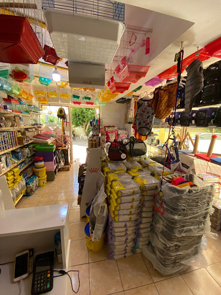Yenigün Petshop