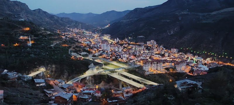 Yeşil Gümüşhane Seyahat