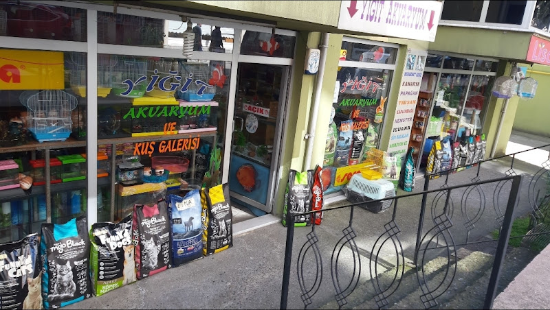 YİĞİT PET MARKET 1 ( PET SHOP )