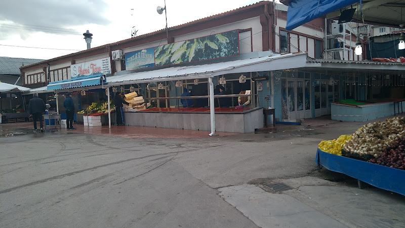 Yıldızlar Balıkçılık