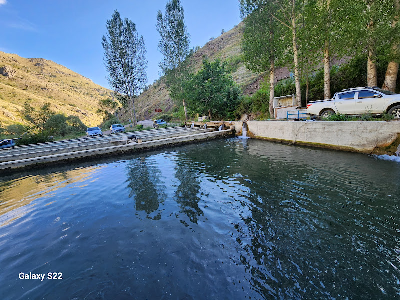 Yoncalı Köyü Alabalık Tesisleri