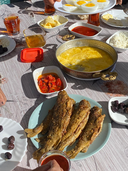 Yoncalı Yeşil Vadi Tesisleri