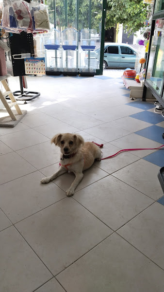 Zehra Petshop