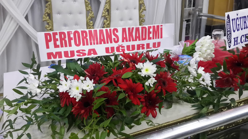 Zelal Kaktüs ve Çiçekçilik