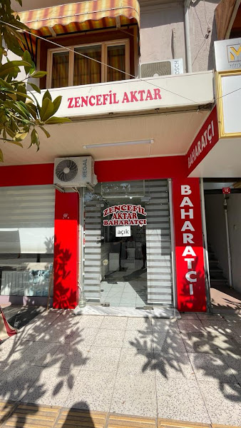 Zencefil Aktar