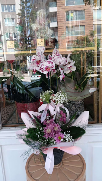 ZEY FLOWER DESİGN