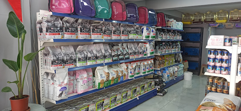 Zeytin Petshop