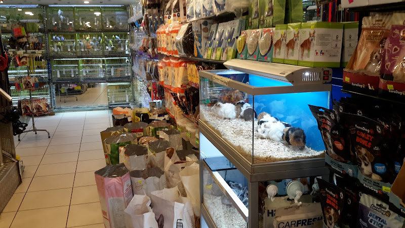 Zoo Pet Shop ve Akvaryum - Kadıköy Evcil Hayvan Ürünleri